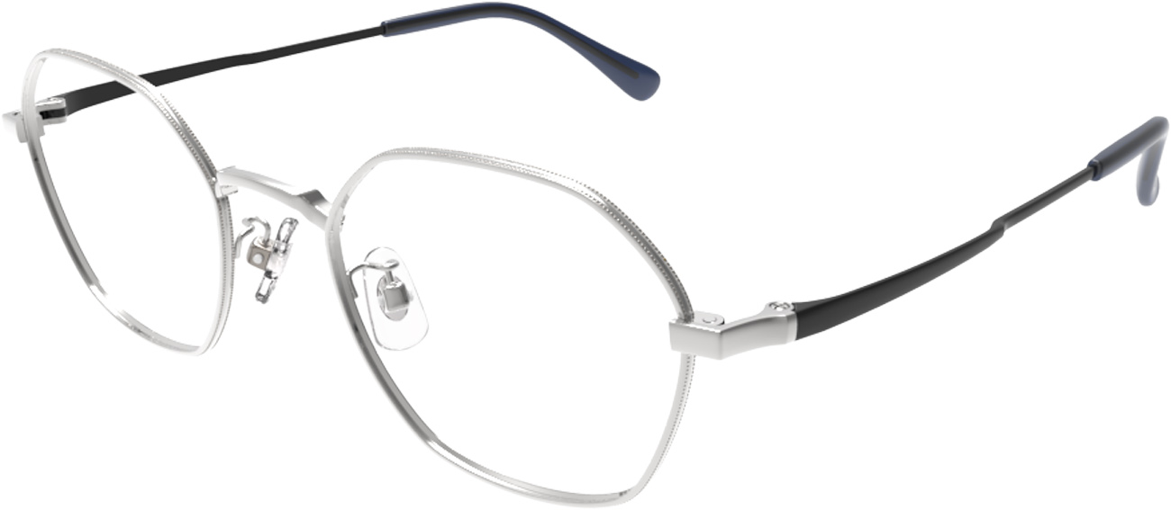 Premium Sabae Eyewear | R101-427